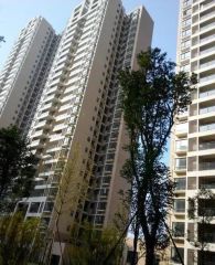 黄金时代(高新区) 3室1厅 北