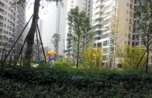 黄金时代(高新区)2室2厅南