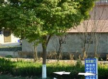 星苏花园二期电梯房户型方正适合居住