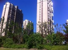 海韵花园 2房 毛坯 好楼层 带储藏间