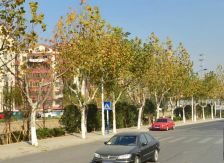 城北家园三室两厅精装修拎包入住可看运河景观