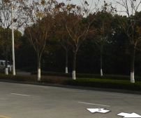 户型方正 交通便利 小区环境干净舒适 适合居住