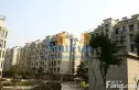 锦泽华府实景图
