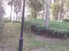 出行方便,户型方正,居住方便舒适温馨,宜居住