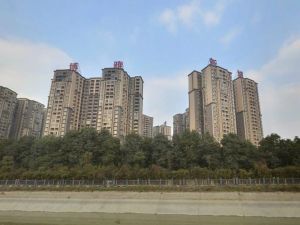 博雅新城A区2室2厅南