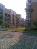 京明凤凰家园3室2厅南