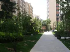 水车园 电梯高层有院子有绿化中间楼层