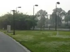 盛世花苑 2室1厅 东 南