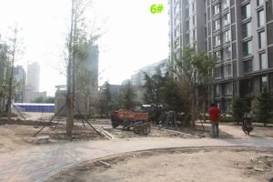 中科温馨一居室 好楼层 全天采光 看房方便