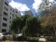 新市区地税局小区2室2厅南