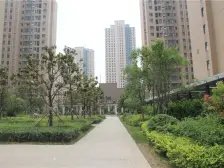 阳光城5号院 3室1厅 南 北