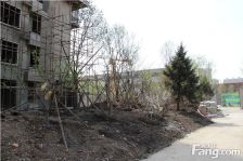 高档小区 地铁沿线 三室明厅 会展商圈