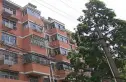 桃园路28号实景图