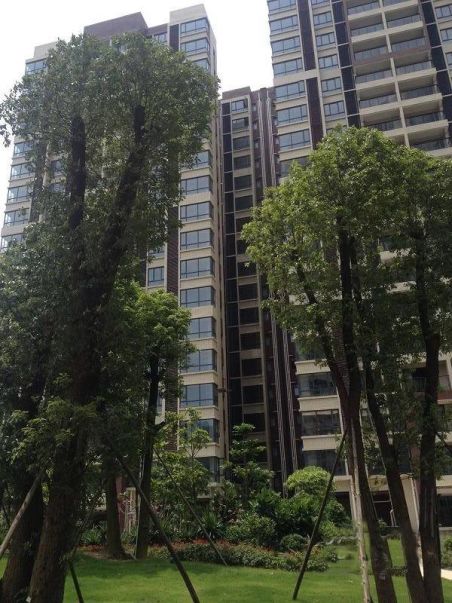 富山居南北朝向三房二厅二卫业主急低价出售,东莞长安长安中心区富山