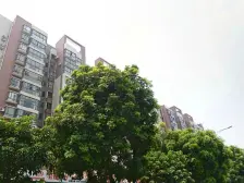 居益公馆 简装2房 高层采光好 视野开阔