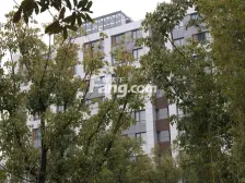 晋合开发商统装,楼层高视野好 ,保养新,景城书包在