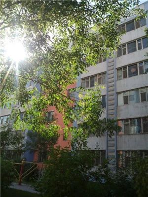 津城茗苑实景图