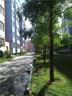 津城茗苑实景图