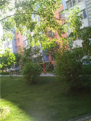 津城茗苑实景图