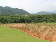 小区绿化十分高,空气环境也很好,很适合居住!