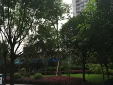 正规一室解放碑小区花园交通便利