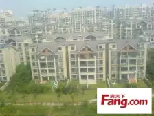 新上笋房!奢豪精装修+绿地3期联排别墅1!