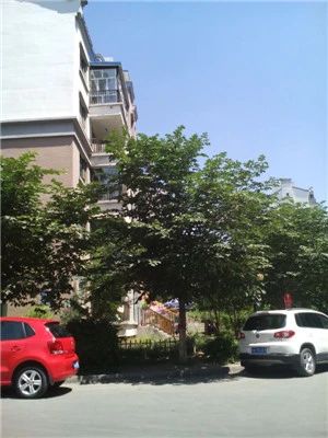 小区相关图