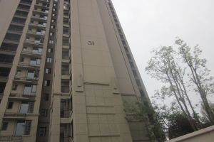 合能洋湖公馆一期2室1厅南