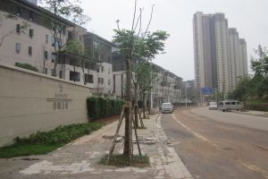 合能洋湖公馆一期2室1厅南