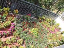 凯旋湾花园,精装大三房,可拎包入住,中高楼层