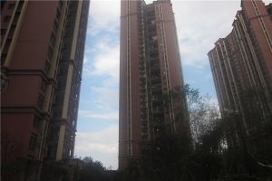 海德公园南北朝南四居室大阳台视野很开阔东边户