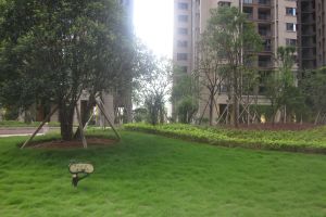 江河东澜湾4室2厅南