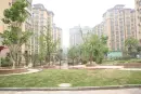 新城明珠实景图