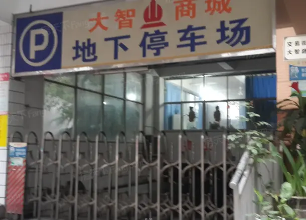 大智商城实景图