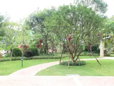 金地城南艺境精装3房,装修好,看房提前约