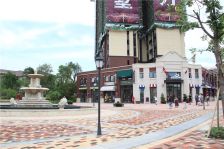 金地182双拼别墅 已做好土建 业主诚心出售 看房方便!