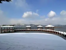 龙湖联排别墅 大地下可以隔两层 大院子