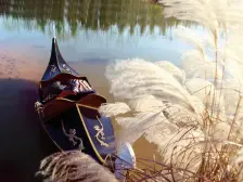 龙湖紫云台 3室1厅 南 北