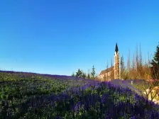 此房南北通透,小三居,墅区高层,品质好,环境优美