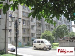 留下·留下大街237号·3室·2厅