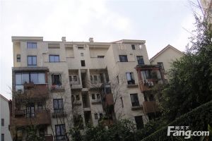 彩叠园1B期2室2厅南
