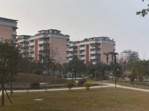 康达园A区3室1厅南