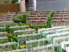 洋房带露台 大六室 总价低价格好聊 诚意出售