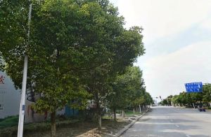 此房户型方正,居住方便舒适,适合一家人居住