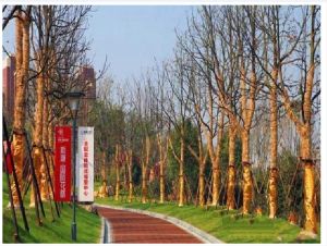 金色阳光家园2室2厅东南