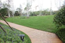 迪士尼·同悦湾华庭(北区)·4室·2厅