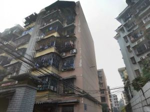 武侯祠大街254号3室1厅东