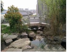 中豪城南时代2室2厅南