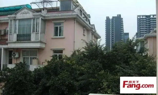 中华园实景图