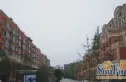 中华园实景图